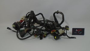 INSTALACION ELECTRICA PRINCIPAL DUCATI MONSTER 696